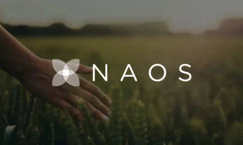 دراسة حالة NAOS